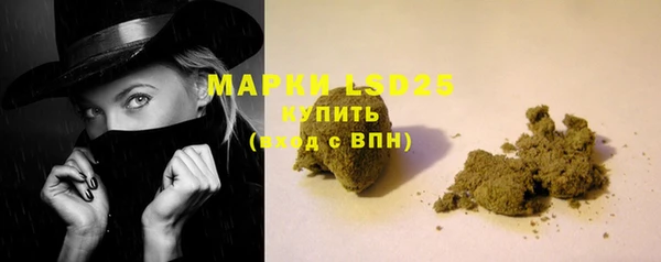 ПСИЛОЦИБИНОВЫЕ ГРИБЫ Балахна
